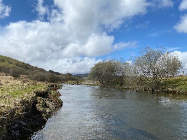 Top of the Wye at Clochfaen